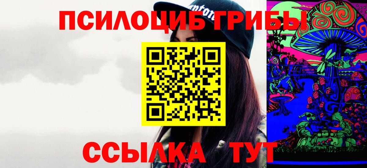 Псилоцибиновые грибы мицелий Ревда